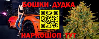 крисы Кохма