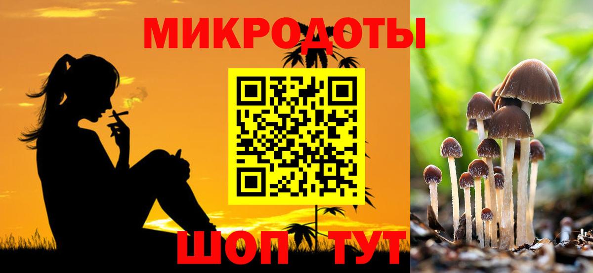 Александров  продажа наркотиков  Вход с VPN  Псилоцибиновые грибы Magic Shrooms 